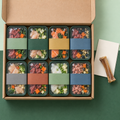 Coffret Découverte Belles Babines ouvert, huit barquettes de nourriture crue surgelée pour chien avec leur guide de transition